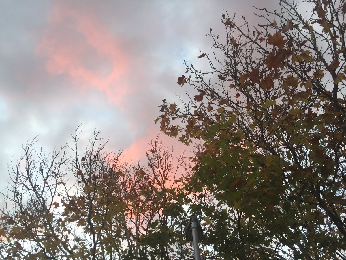 Both clouds and leaves show all their colours at times. Why can't men? #mentalhealth #depression #lastdayofautumn