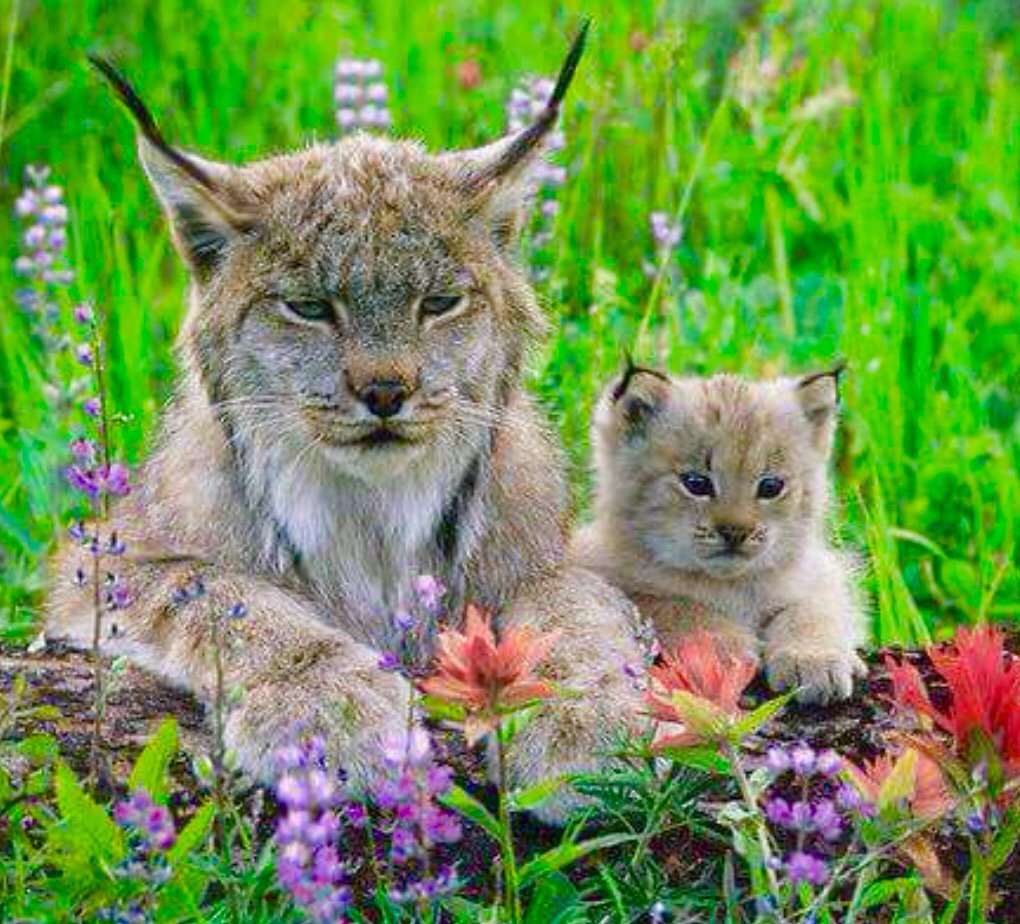 sweetrhythms's tweet image. Extending a warm welcome to my new followers. Enjoy the #photos. #Midnight #Music ... now!

Pic via @lamb041