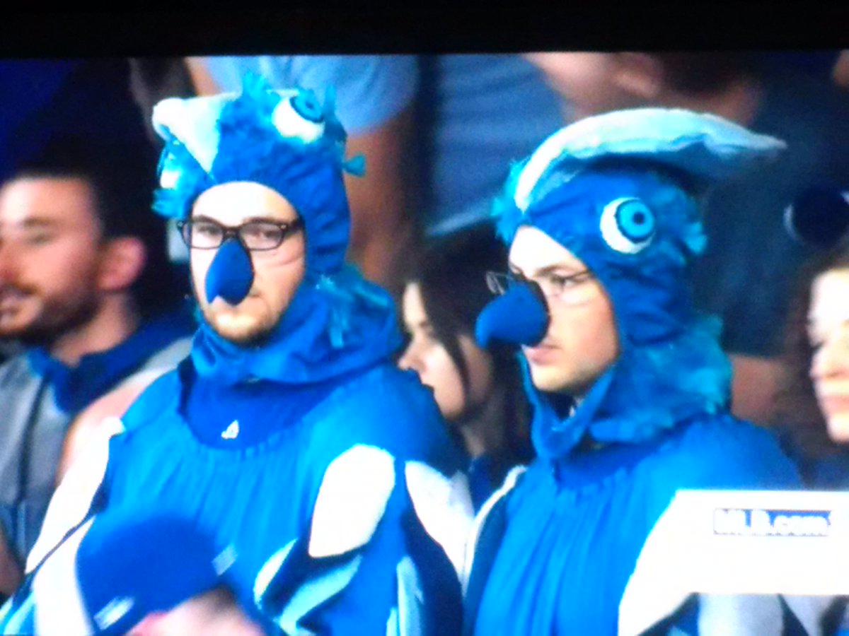 snowbaseball's tweet photo. Canada best baseball fans in the world https://t.co/dTjoGUxb6T