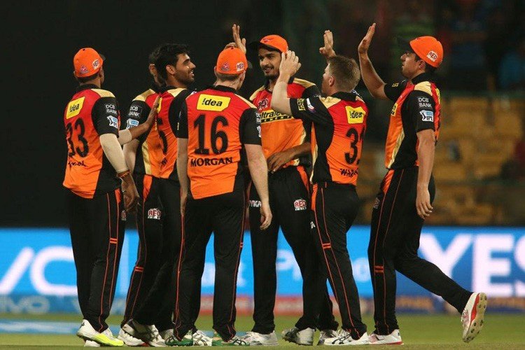 FitTipofficial's tweet photo. Congrats to #sunrisersteam for #iplchampionsof2016. #ipl2016 https://t.co/gANYgFcP2S