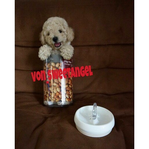 Anakanjing Hashtag On Twitter