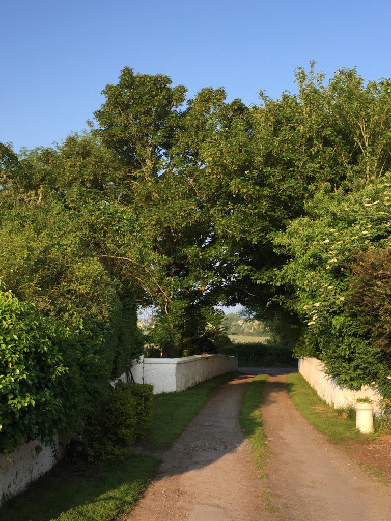 FuchsiaLaneFarm tweet media