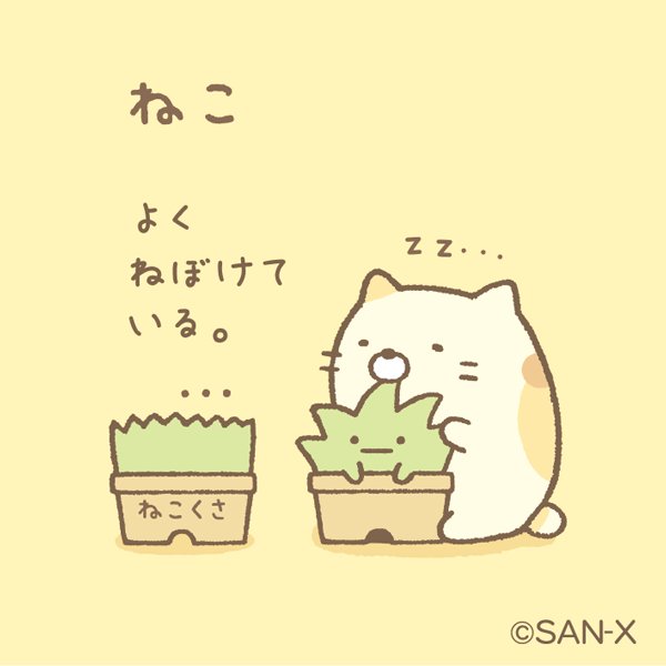 すみっコぐらし 公式 ねこ よくねぼけている すみっコ紹介