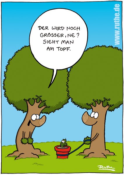 ralphruthe's tweet photo. Guten Morgen! https://t.co/XZxJAPJ2P1