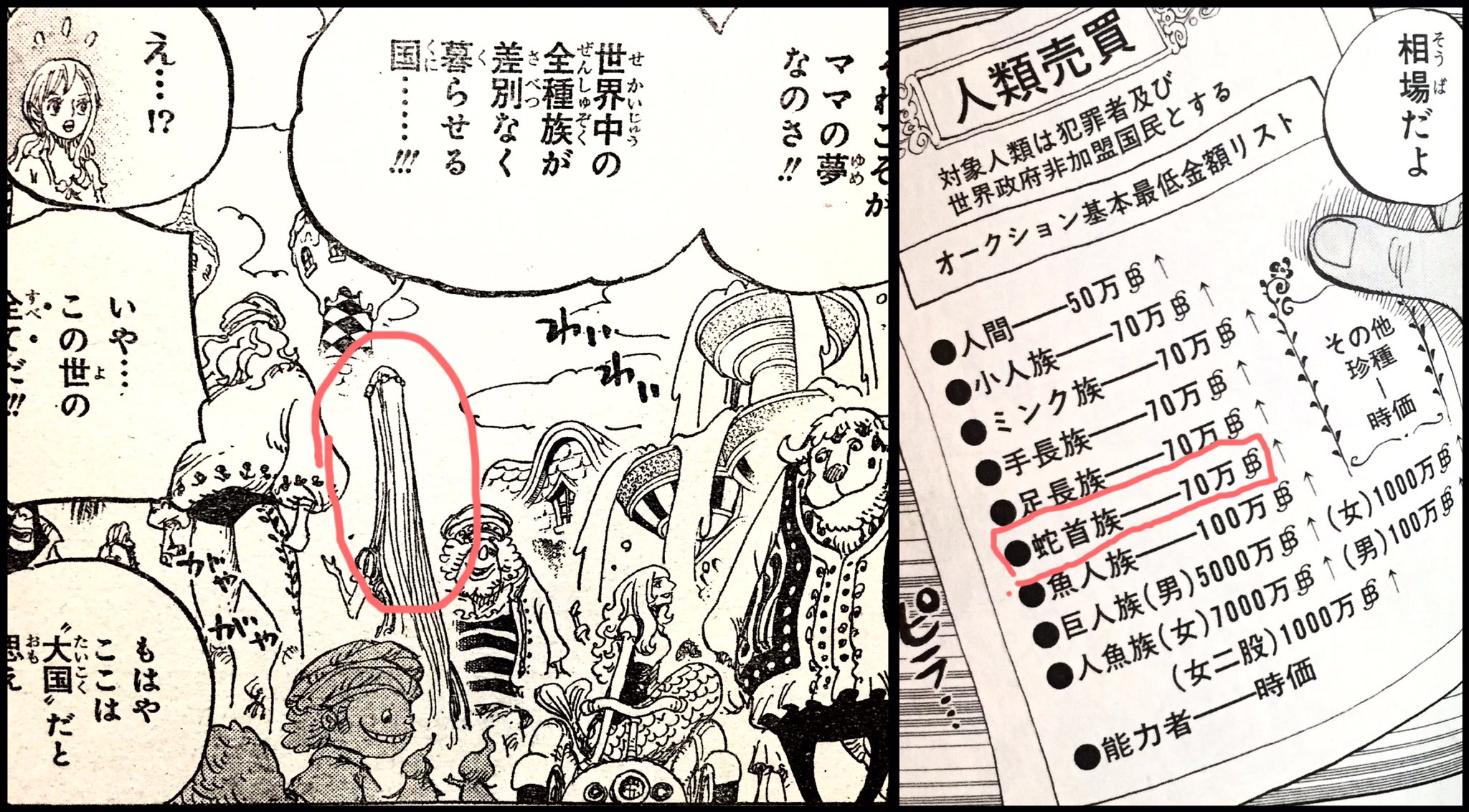 虎パンチ Wj Twitter પર 様々な種族の暮らす国 このコマだけでもミンク族 人魚 足長族 小人など描かれてますね シャボンディのリストより唯一まだ登場してない 蛇首族 ももしや描かれてる 虎パンチ Wj Twitter પર 様々な種族の暮らす国 このコマだけでもミンク族 人魚 足長族 小人など描かれてますね シャボンディのリストより唯一まだ登場してない 蛇首族 ももしや描かれてる