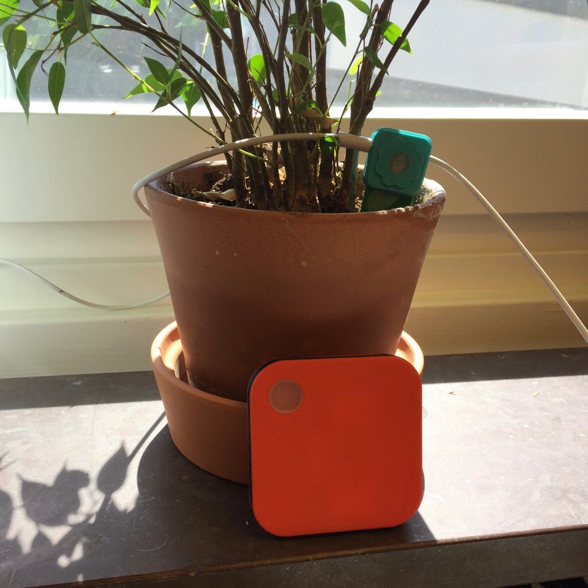 botani_st's tweet photo. Our new controller can be used directly in your greenhouse. We made it water resistant &amp; added an extra sensor port https://t.co/P27YbZsbYo