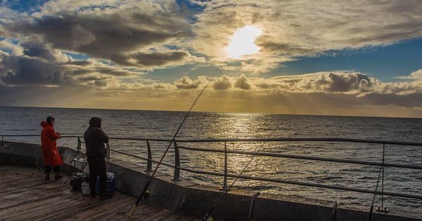 AU_Adventure's tweet photo. - just watching the day go by #TeamCanon #CanonBringIt #CleanCaptures Melbourne #canon #6D #city #LE #frommelbourne… https://t.co/LBOBHCi7nX