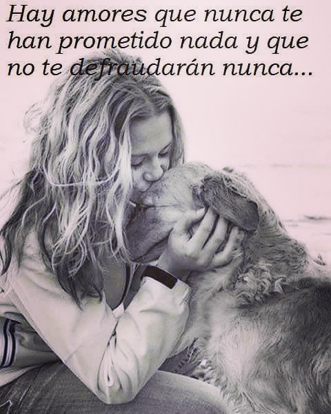 BiancaSsolis's tweet image. #prometer #defraudaran #cocoyhundo