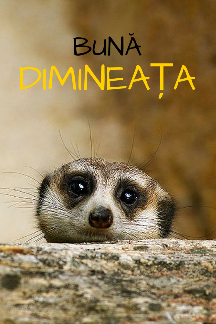 SmartMoldova's tweet photo. Începe dimineața cu un zâmbet și un gând pozitiv! :)
E luni - deci e un nou început! #monday #smartmd #Chisinau https://t.co/igN1NSV96W