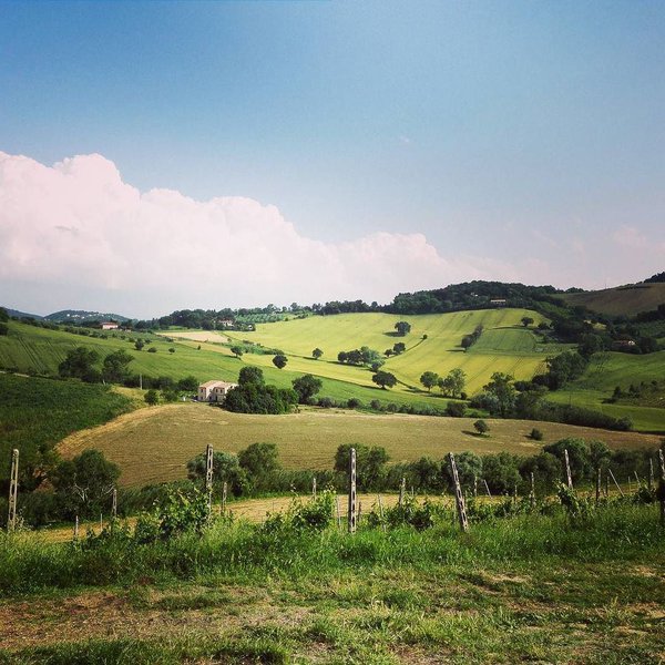 MarcheTourismEN's tweet image. #goodmorning! RT @franztrg Marche landscape! :-) #moroder #cantineaperte2016 #wine #lemarche ift.tt/22sWM79