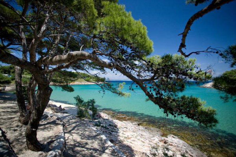 Adria24's tweet photo. Summer feeling :-D
Jelsa - Island Hvar  #Hrvatska #Croatia #summer #beach 
https://t.co/57mRnL8bTP https://t.co/lOmjdJ7dWR