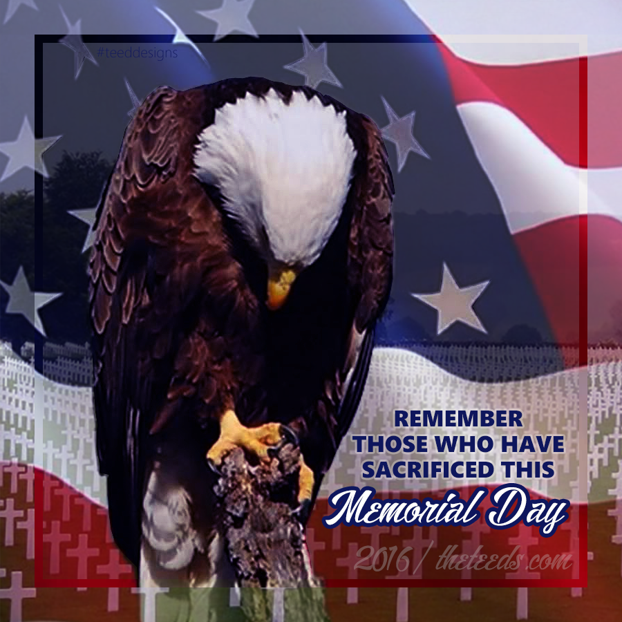 theteedscom's tweet photo. Have a safe Memorial Day! #memorialday2016 #memorialday #thankyou https://t.co/j7R6aueoJo