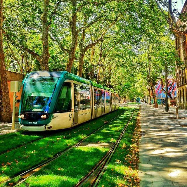 EcoProspettive's tweet photo. Linea del #tram / #Tramline 
in #Barcelona
#landscape #architecture #architettura #paesaggiourbano #urbanlandscape https://t.co/0RDNZi60GC