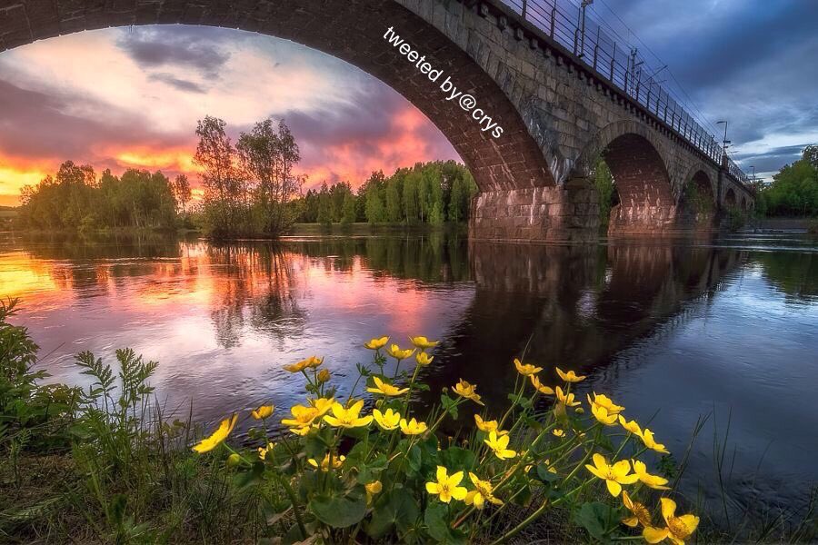 Crysd3's tweet image. A beautiful day to you all✨✨