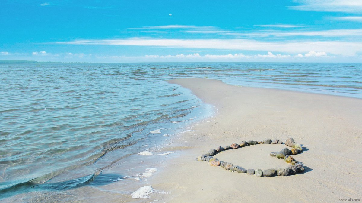 NedaBehz tweet picture