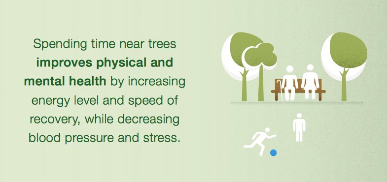 FAOForestry's tweet photo. #didyouknow? Spending time near trees improves physical &amp; mental health https://t.co/WU7QFWuwS1 https://t.co/yhKkugaiBS