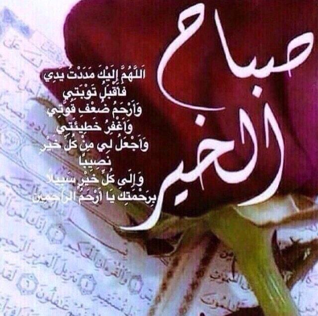 shosho777ss_'s tweet photo. @Sabba7Ali https://t.co/9xli3tlYew