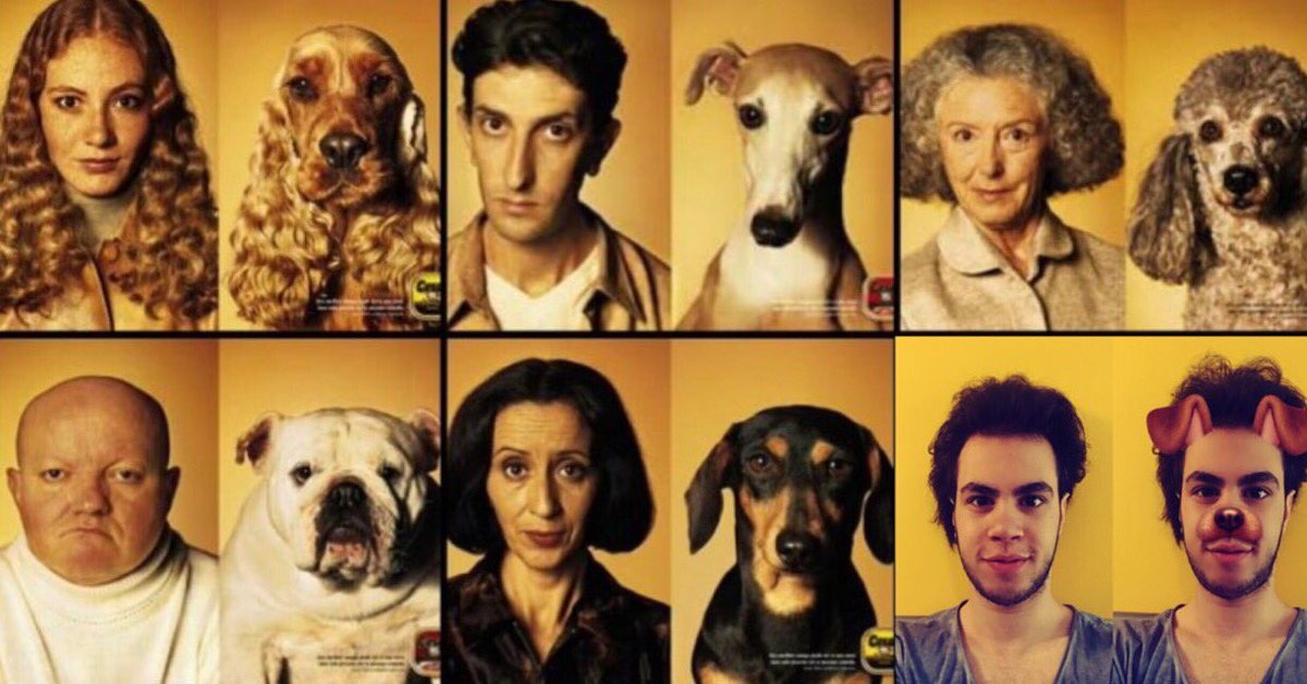 Mim On Twitter Sahiplerine Benzeyen Kopekler Ve Ya Kopeklerine Benzeyen Sahipler