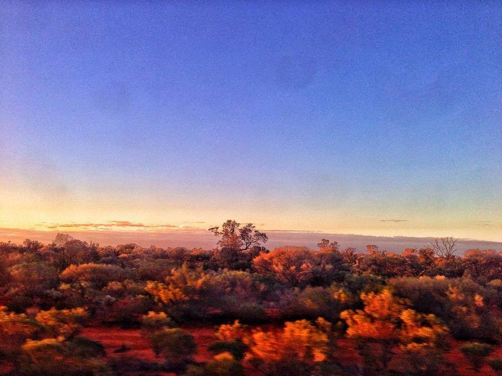 cfkheritage's tweet photo. Desert Sunset #journeybeyond  #greatsouthernrail #indianpacific https://t.co/K33bDITq8V https://t.co/5oxBS5wEmz