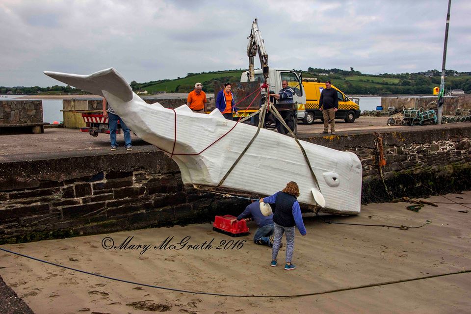 Beached #whale snapped in #Youghal . Volunteers to the rescue.