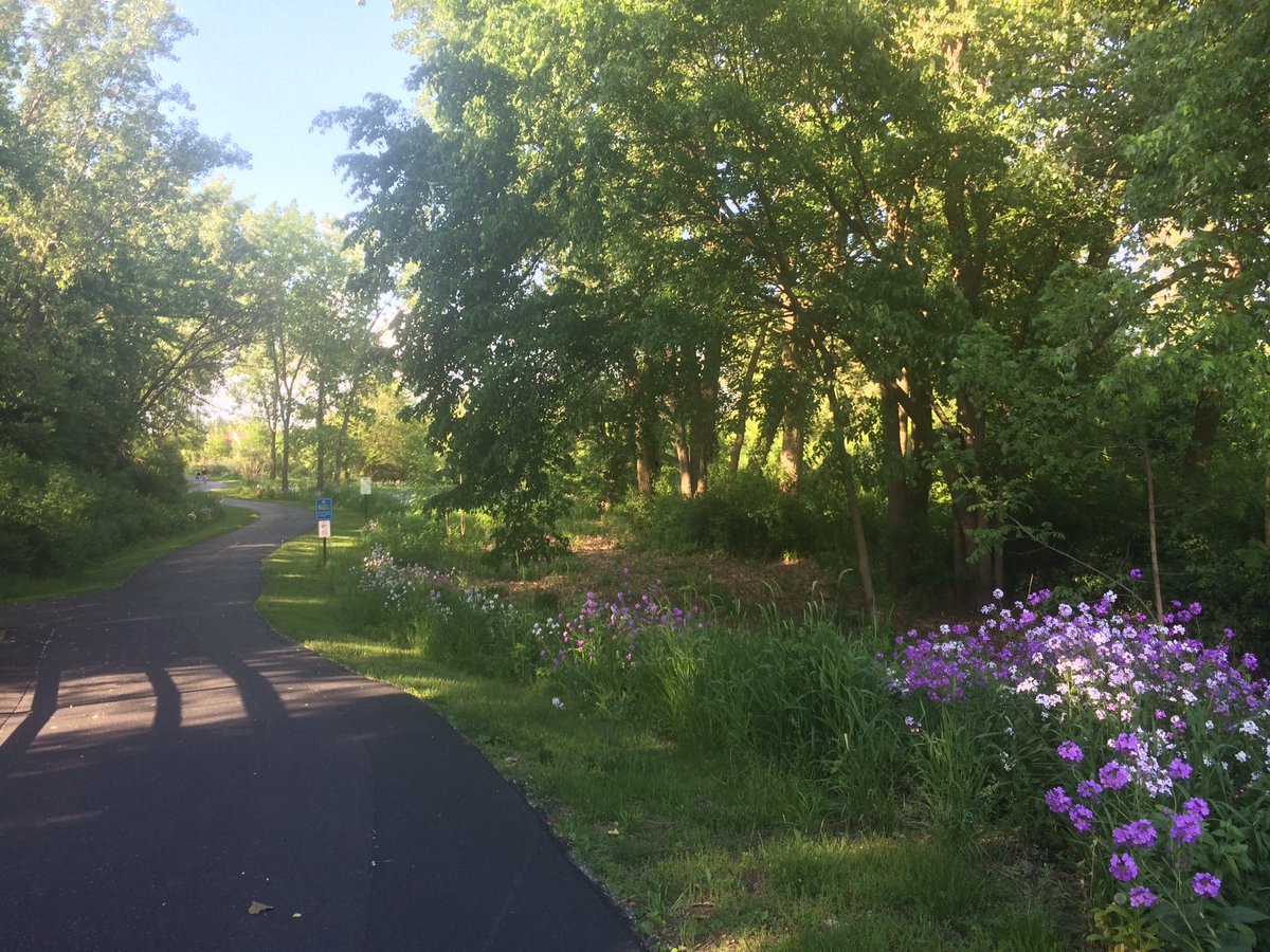 cindylarsen59's tweet photo. I didn't stop and smell the flowers cause I'm flippin running๐๐ป #ChronicLife #CureArthritis #Xeljanz #Make2dayCount https://t.co/Cl2e25X44g
