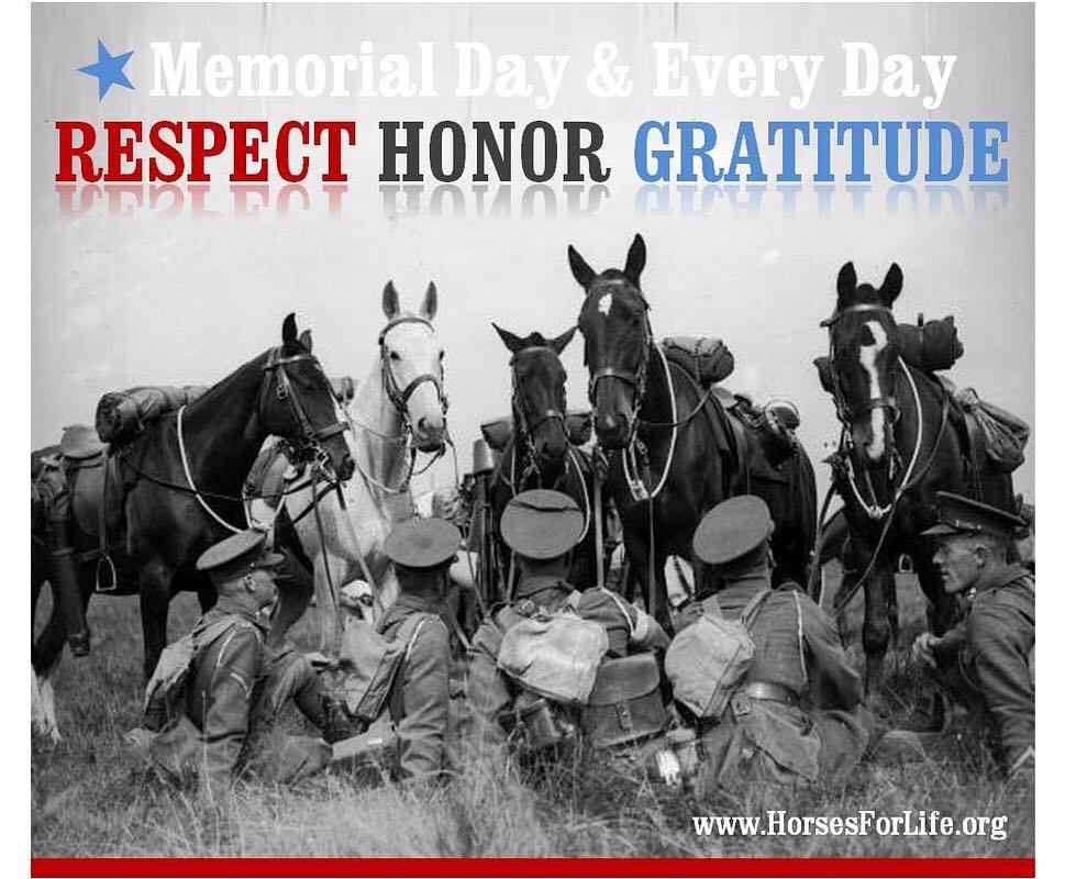 WardStables's tweet photo. #memorialday #wardstables https://t.co/zBw5WFhyzh https://t.co/1BzvmTEhkU
