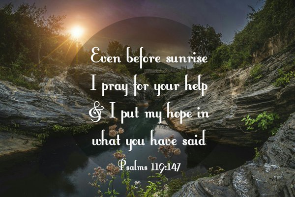 sumaprayers's tweet photo. Pray for Sumatrans to put their hope in the right place. God is always faithful to His Word. https://t.co/ibN7vpiB2x