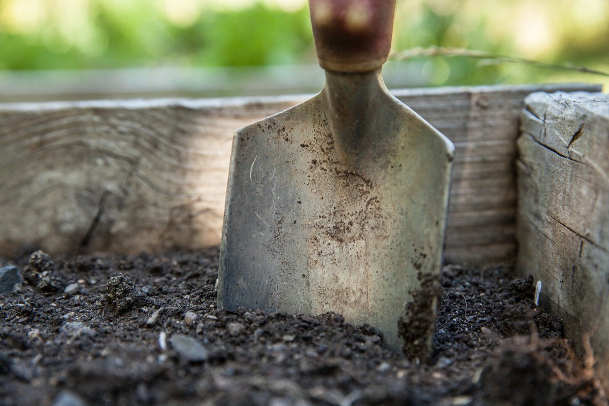 CanterburyINDEX's tweet photo. Get your garden into shape for summer with these #FourTips https://t.co/dKLMaFndgN #GardenTips #IndexGardening https://t.co/6yfp4ZydRr