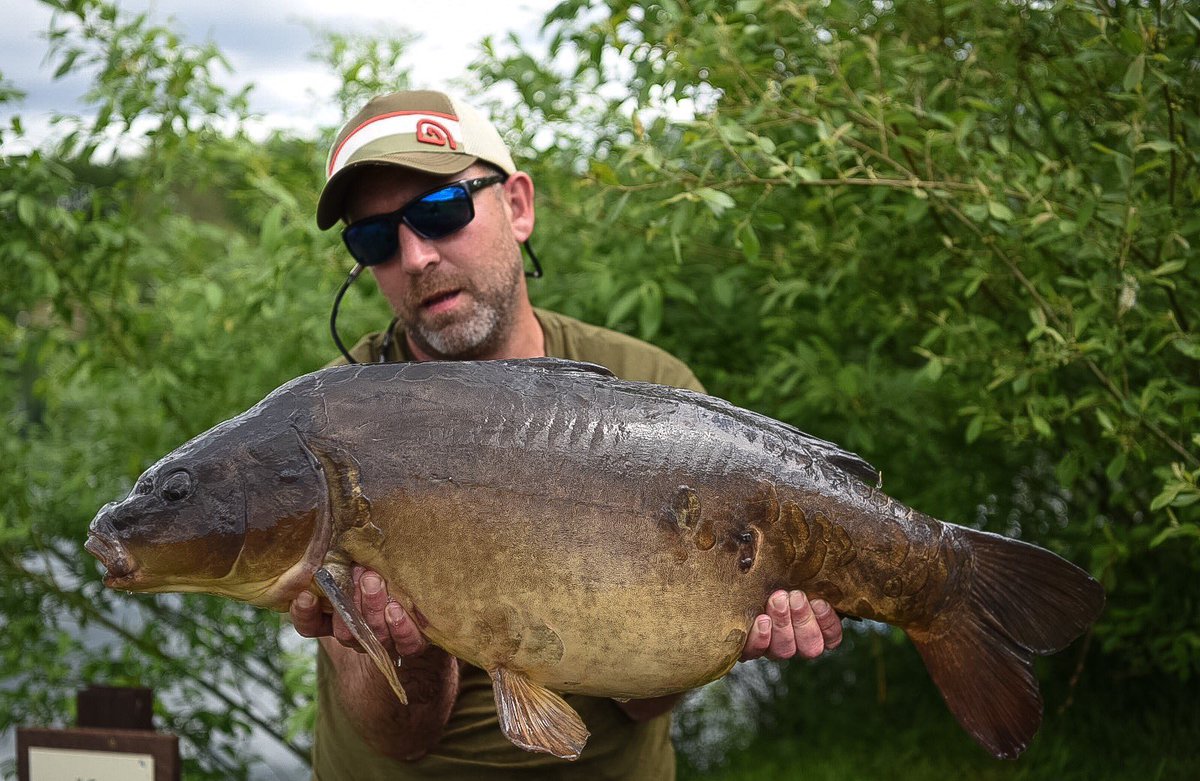 iancatharell's tweet photo. 29.2 from last week 🎣 https://t.co/DOKsN5E9lh