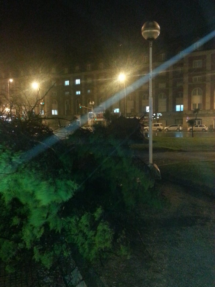 comunidadeFeCe's tweet photo. #Sudestada #MarDelPlata #plazacolon https://t.co/b9tCNRY4AQ