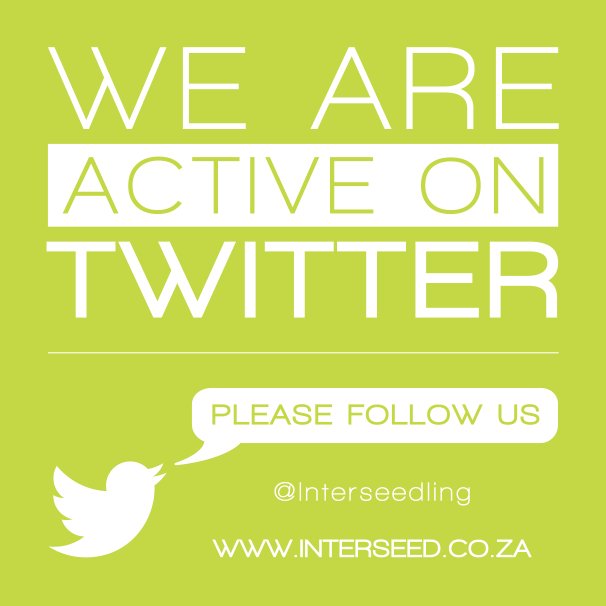 InterseedDigi's tweet photo. Hello seedlings, we are now active on Twitter!#InterseedConsulting #connectingsuccess #capetownbusiness https://t.co/wJkFZtsiFS