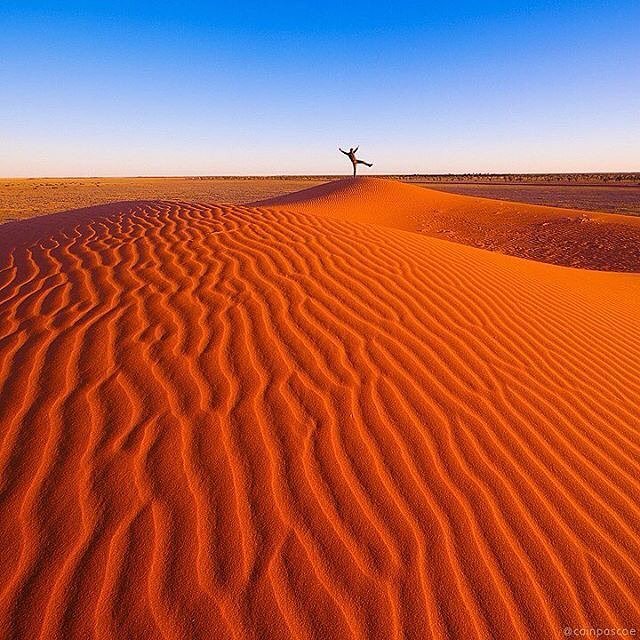 EXPLORE AUSTRALIA tweet media