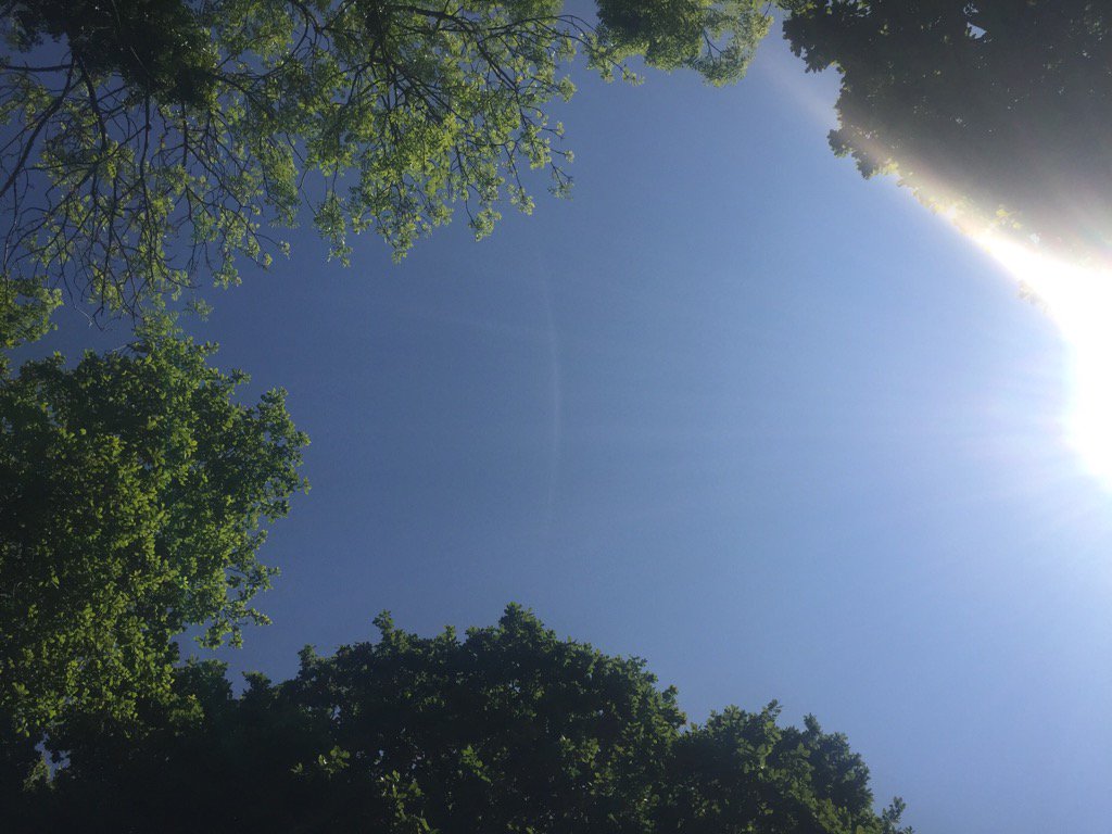 What a beautiful day <a href="/Faithlegghouse/">Faithlegg Hotel</a> <a href="/realshanerichie/">Shane Richie</a> <a href="/dominictc/">DomTreadwellCollins</a> <a href="/AngelineBall/">Angeline Ball</a> <a href="/mariadkennedy/">Maria Doyle Kennedy💙</a> ☘🎬