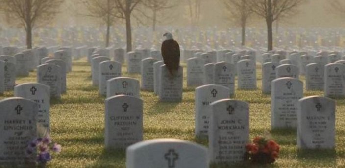 dan330msp's tweet image. Memorial Day! Remember why.... #veterans