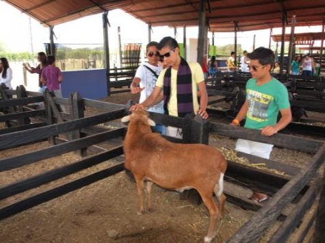 proturiscalima's tweet image. Ahora mismo nos encontramos en @parquedelauva