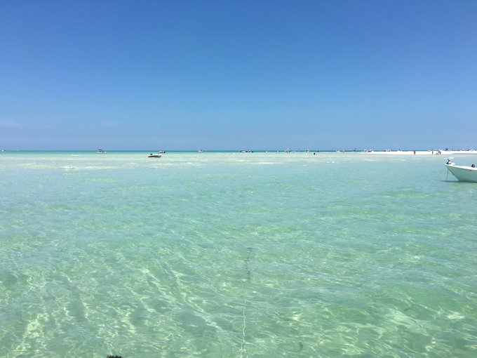 PERFECT! I LOVE FLORIDA!!! https://t.co/2pVeOjrMo4<a href="/tag/favebuc"class="tags"><span>#favebuc</span></a>