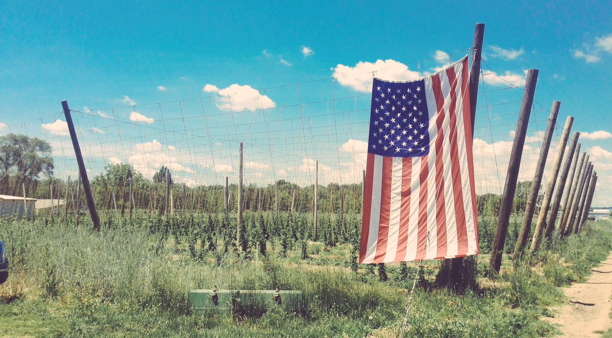 IndyHighBines's tweet photo. To all that have, happy Memorial Day #hopsandstripes #INhops https://t.co/OvkoayoJ8l