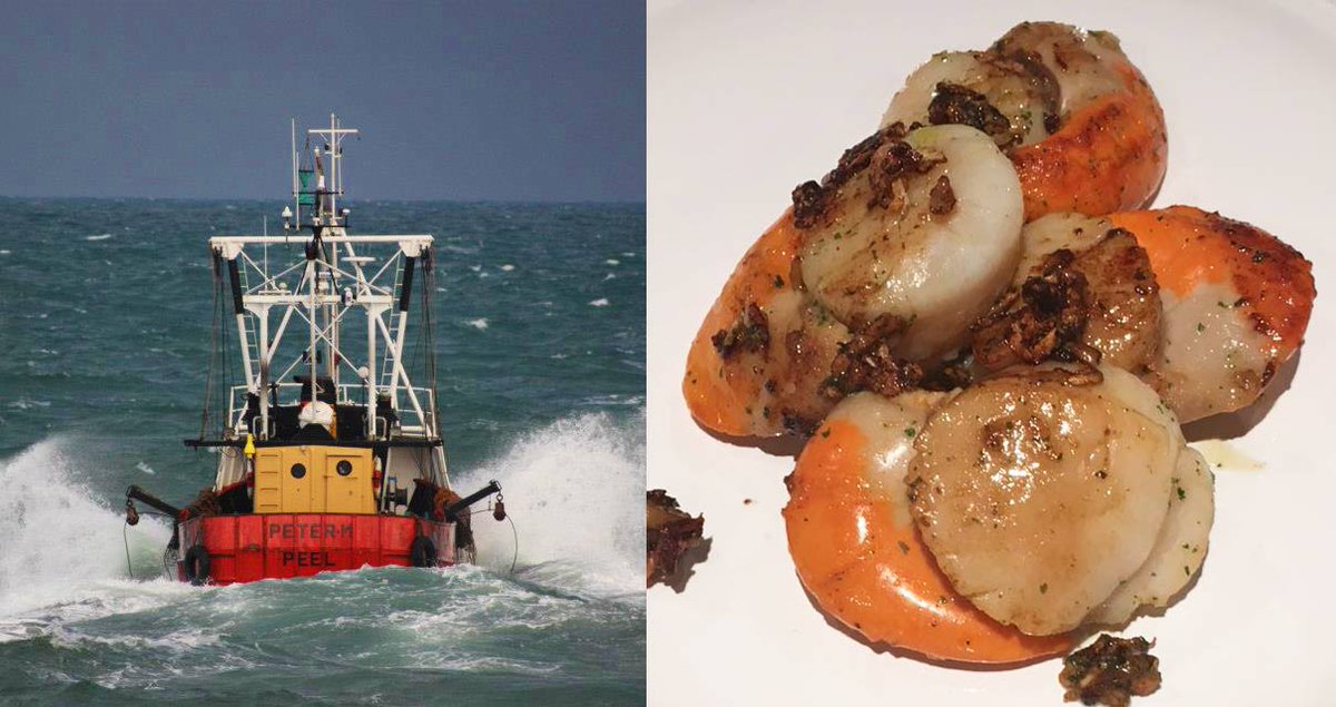 IsleManSeafood's tweet photo. The #Manx #scallop season ends tomorrow. Thanks to all the #fishermen for putting the best #seafood on our tables! https://t.co/CzSKyzUqLr