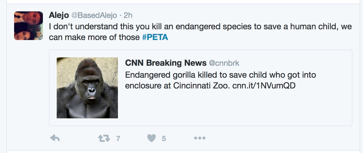 Cjt3ufOVAAI8usD.jpg:large