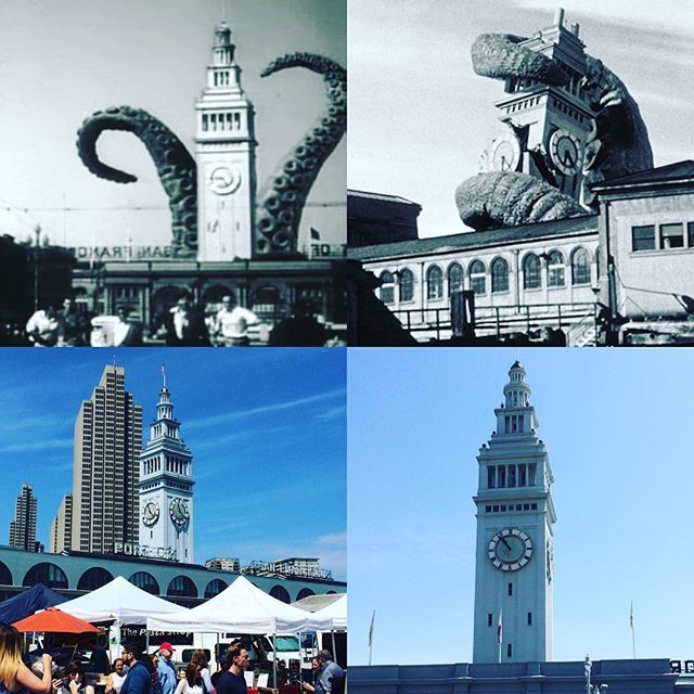 OctopusGifts's tweet photo. It's so good to see San Francisco rebuilt after the Giant Octopus Attack of '55.  #itcamef… https://t.co/8gZpkElLwy https://t.co/pzpva8NNu6