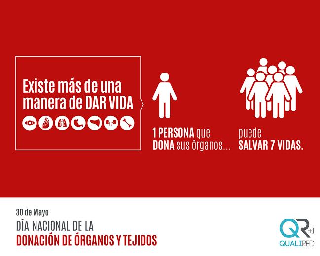 Qualiredcom's tweet photo. “Día nacional de la donación de órganos y tejidos”.
#Donación #Donante #DonaOrganos #QUALIRED https://t.co/YlyilINuTa
