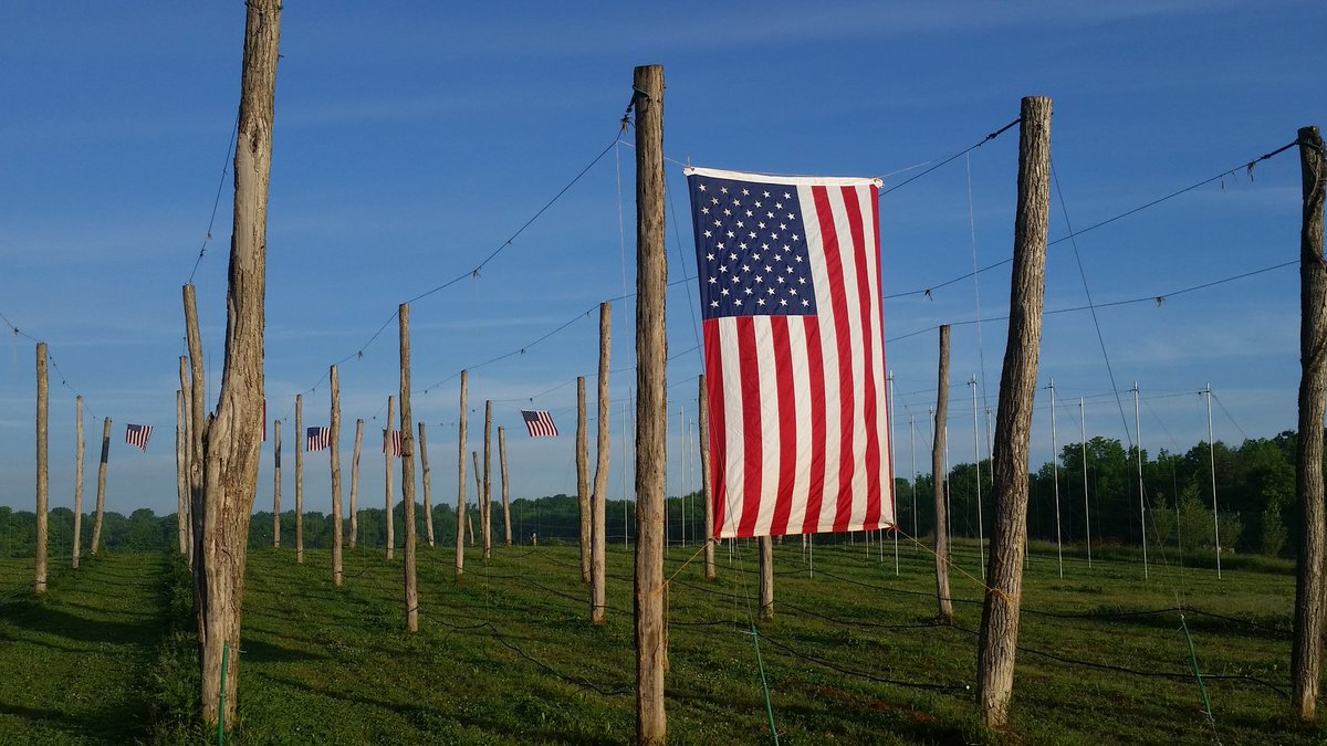 Schneidershops's tweet photo. #HopsAndStripes #GoldStarFamiles #NotForgotten https://t.co/bLXfve5QcR