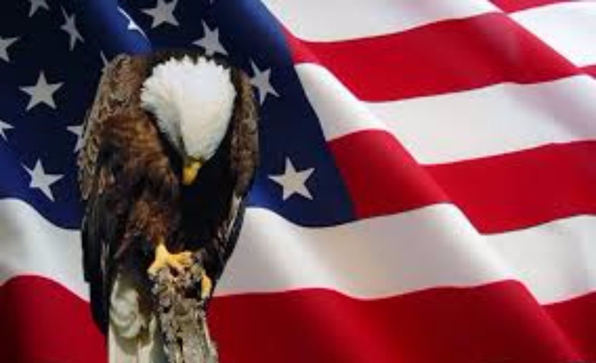 GoAutoGuard's tweet image. @GoAutoGuard. 
I'm Memory of Many,
In Honor of All.
Thank You.