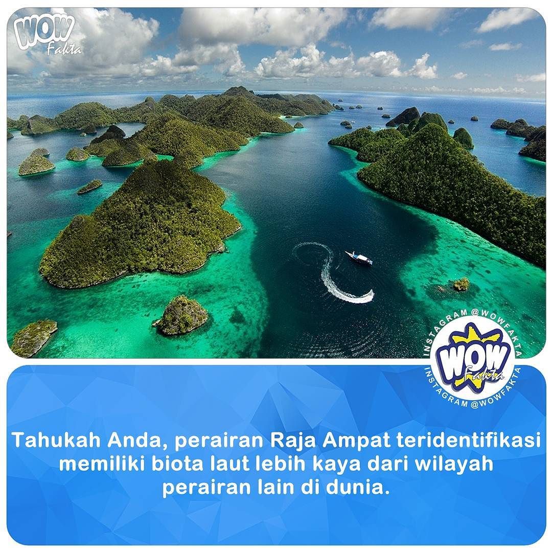 ift.tt/1U7mh83 [#wowfakta] Faktagram hari ini #fakta #faktanya #mostpopular