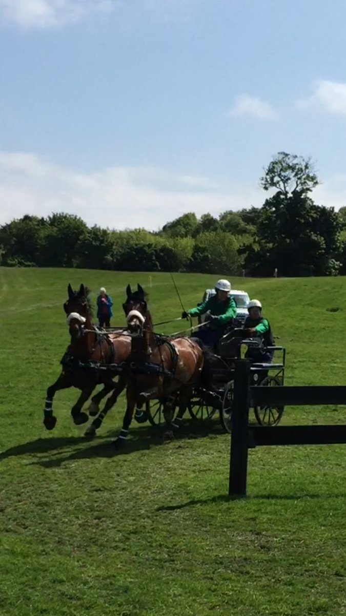 LibbyPriest's tweet photo. Our 1st international event went well. Slight senior moment in dressage, a win in the marathon n cones -2nd overall👌 https://t.co/s45Mej3gE2