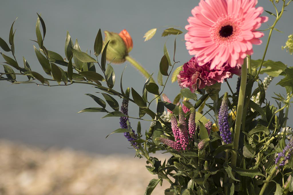 Have a lovely week ahead. #FloriusFlowers #VeronicaSmart #HypericumCoco