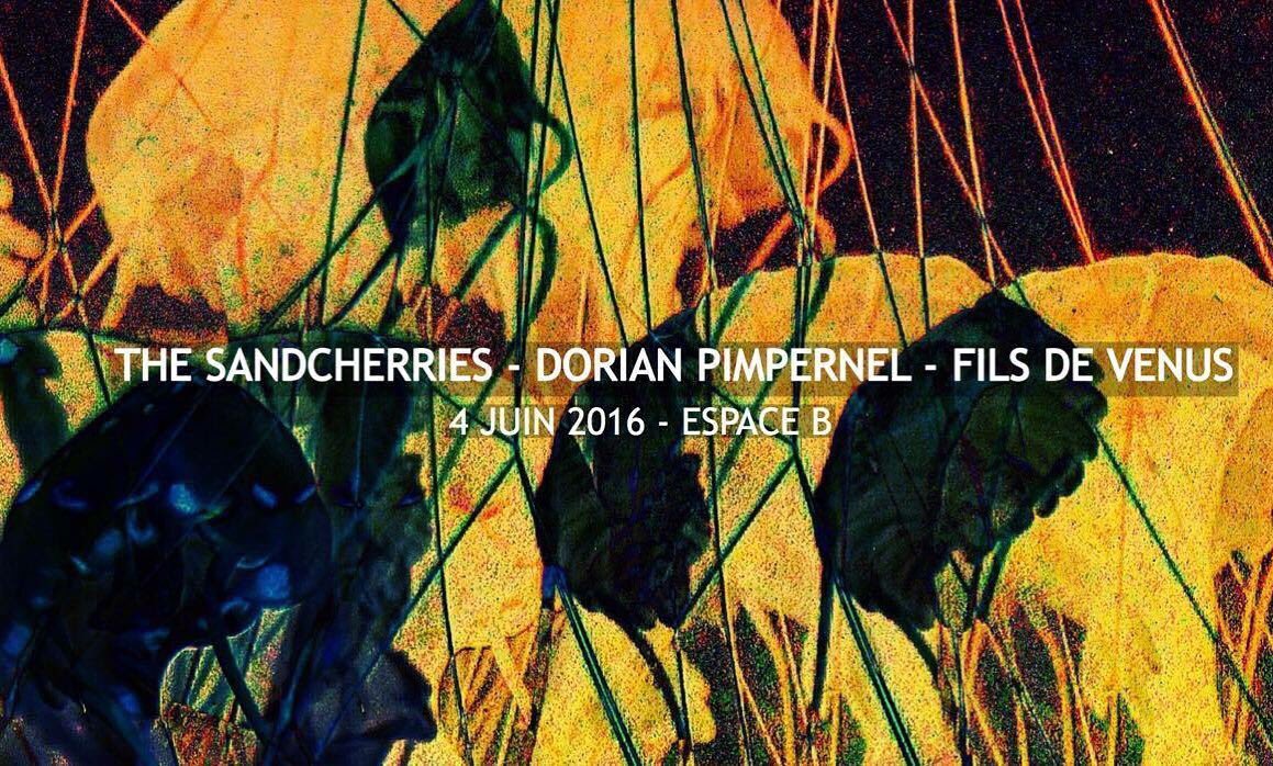 The Sandcherries tweet media