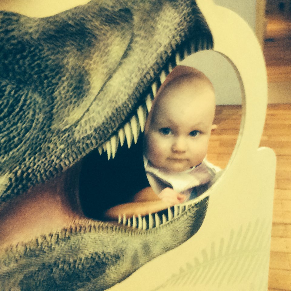 BellaFDavies's tweet photo. Met a hungry dinosaur today at @GNM_Hancock #DinoDinDins https://t.co/KAuyyiZRyf
