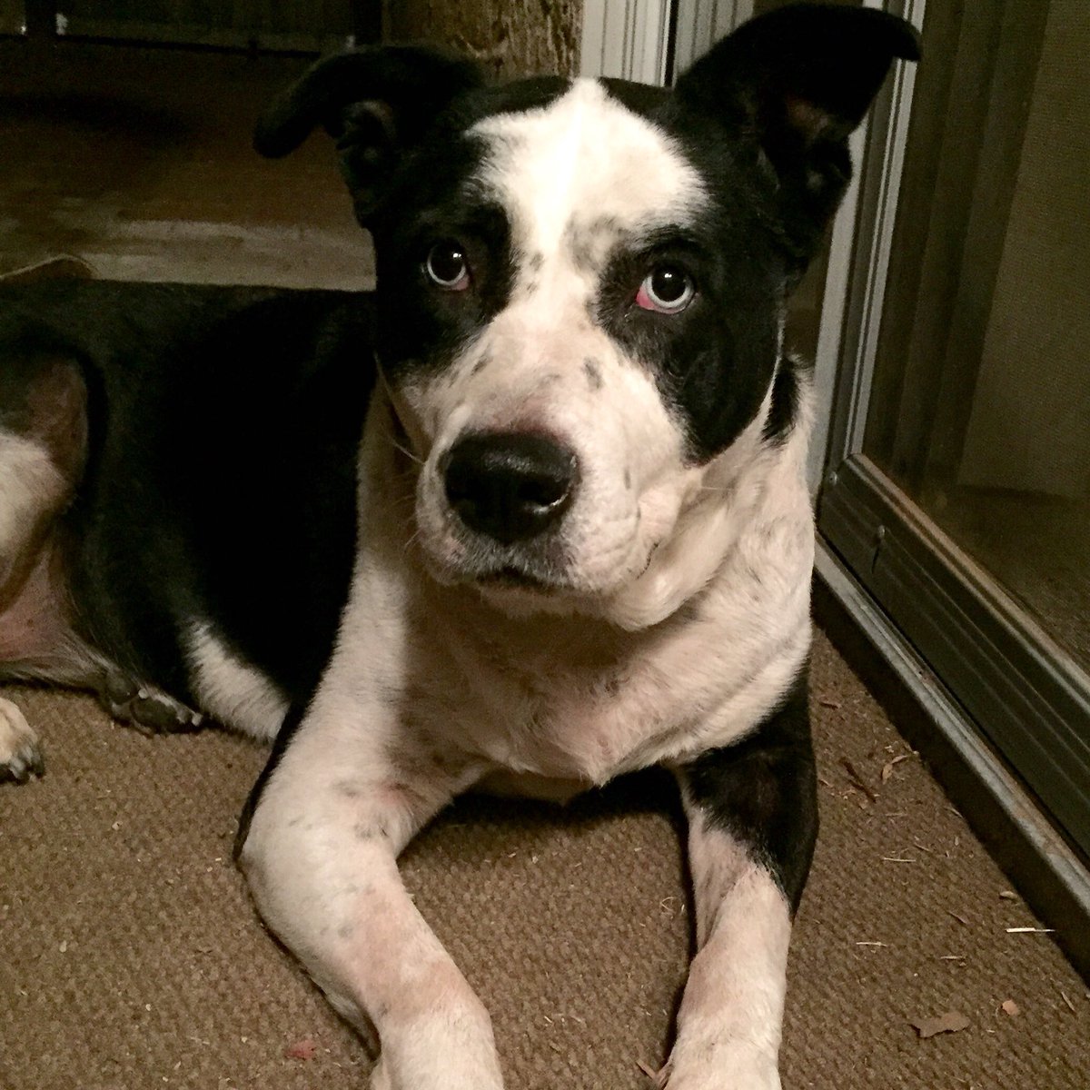 lisa696708's tweet photo. Found Glenn/Columbus https://t.co/8YZbWYiQ4I