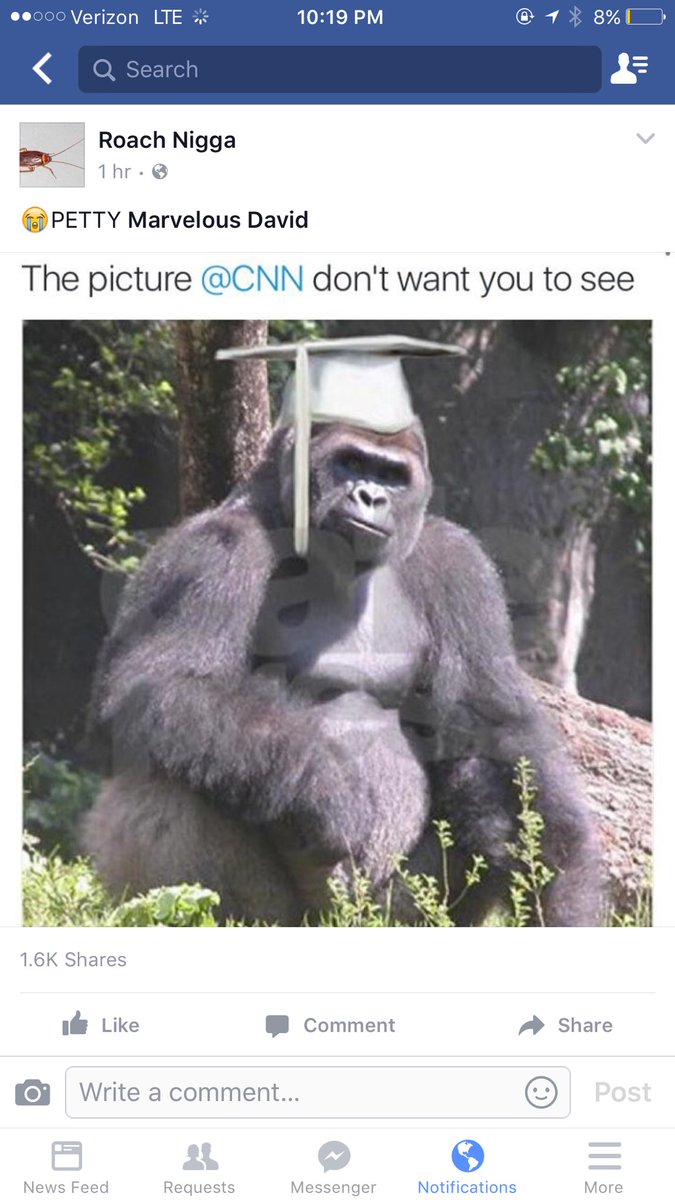 MayorKeane's tweet photo. #GorillaLivesMatter #rip #hegraduated #CincinnatiZoo https://t.co/5ZtLpW2nNI